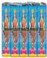 3.5' Lakshmi (5 Pcs)